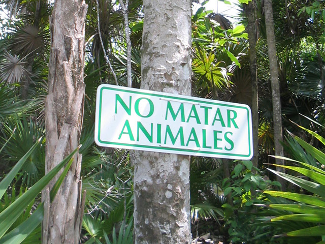 Seguimiento ambiental