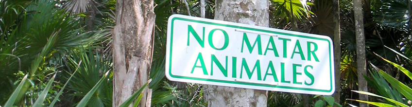 Seguimiento ambiental